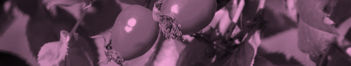 Quemaduras / Cicatrices